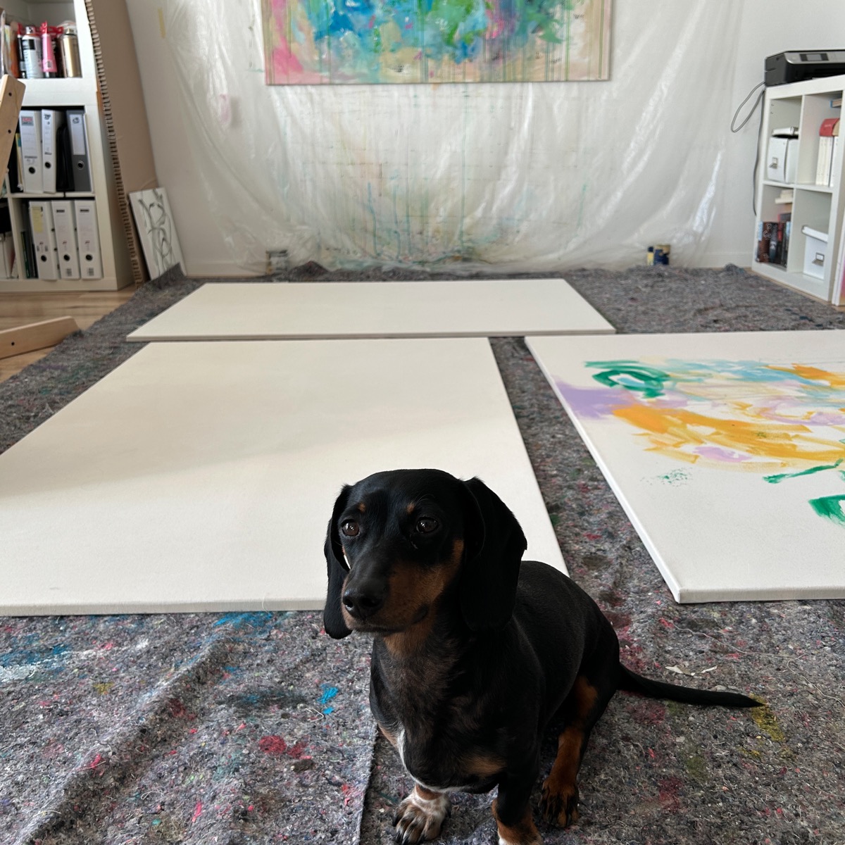 Sandra Obel Künstlerin Atelier moderne Kunst